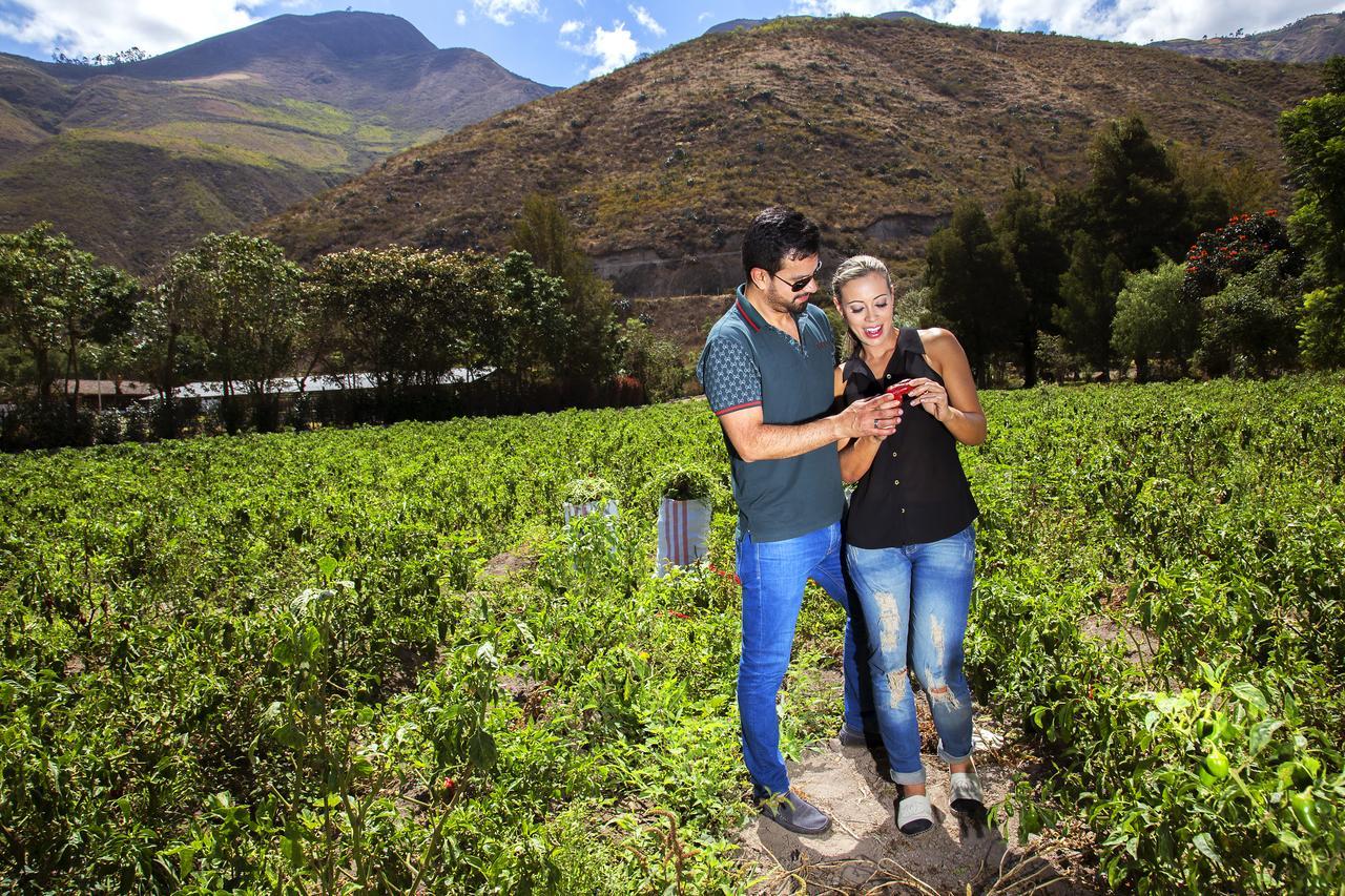 Hosteria Totoral Ibarra Dış mekan fotoğraf